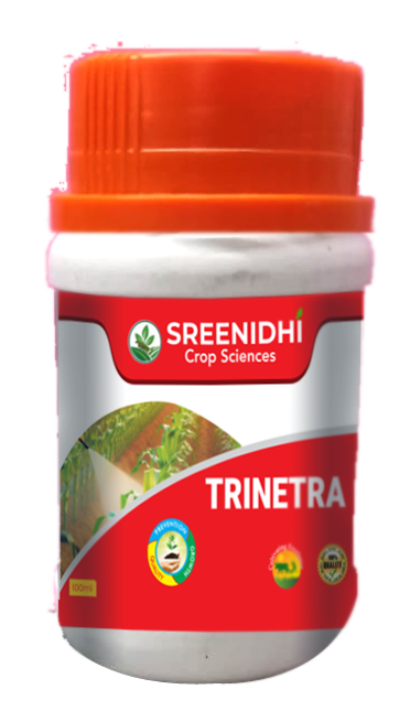 Trinetra